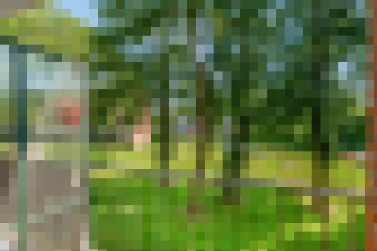 Madoeralaan 64 Ede thumbnail 16