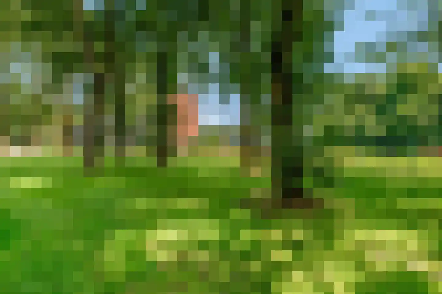 Madoeralaan 64 Ede thumbnail 18