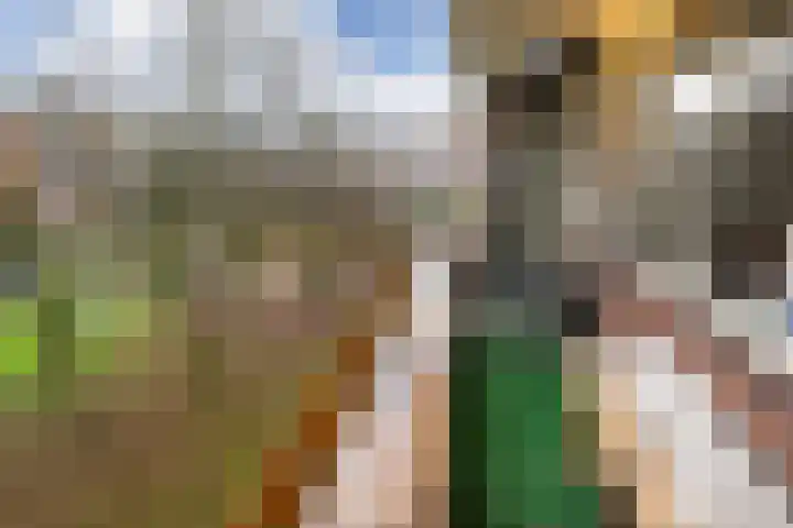Madoeralaan 74 Ede thumbnail 16
