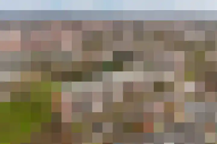 Madoeralaan 74 Ede thumbnail 27