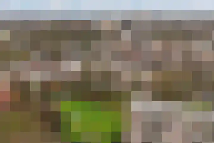 Madoeralaan 74 Ede thumbnail 28