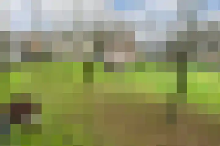 Madoeralaan 74 Ede thumbnail 30