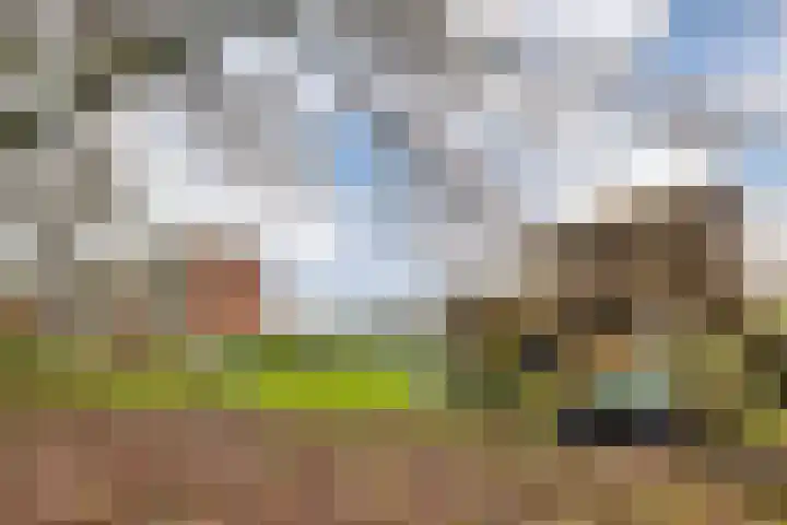 Madoeralaan 74 Ede thumbnail 31