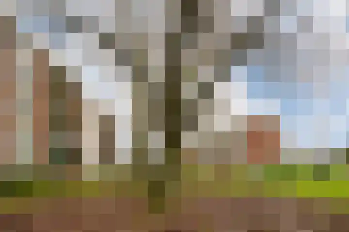 Madoeralaan 74 Ede thumbnail 32