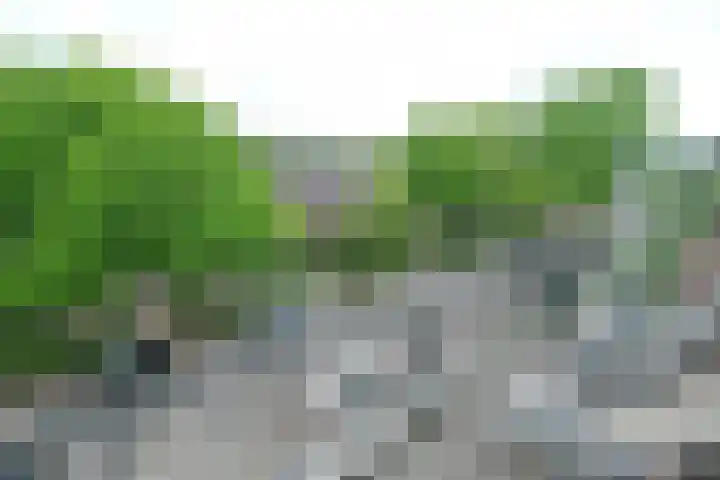 Madoeralaan 84 Ede thumbnail 18