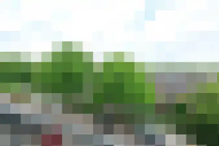 Madoeralaan 84 Ede thumbnail 19