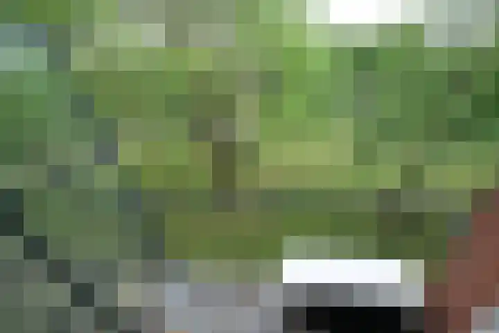 Madoeralaan 84 Ede thumbnail 20