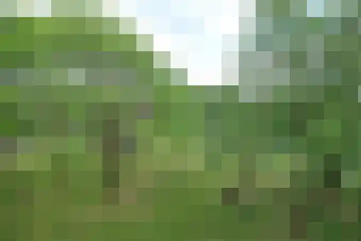 Madoeralaan 84 Ede thumbnail 21
