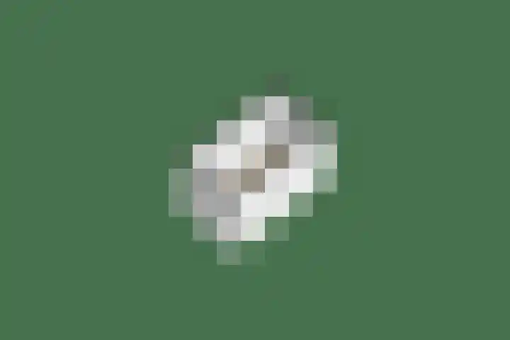 Madoeralaan 84 Ede thumbnail 25