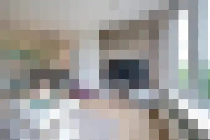 Madoeralaan 84 Ede thumbnail 5