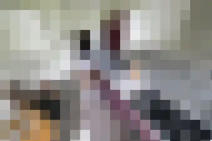 Madoeralaan 84 Ede thumbnail 8