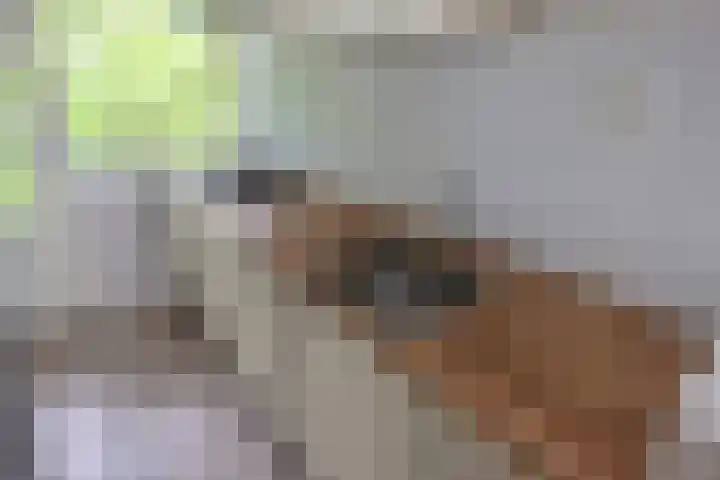 Madoeralaan 92 Ede thumbnail 10