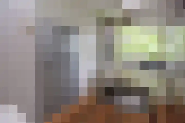 Madoeralaan 92 Ede thumbnail 11