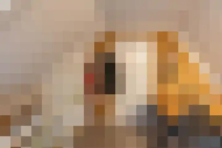 Madoerastraat 1 b Groningen thumbnail 34