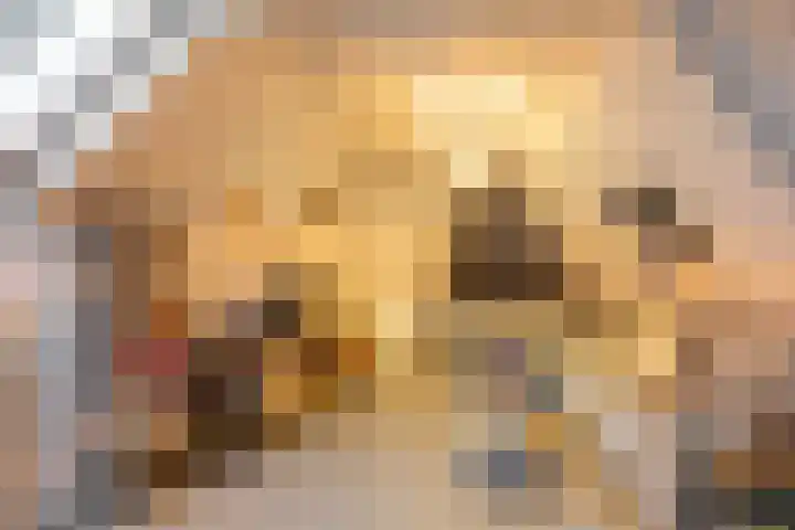 Madoerastraat 1 b Groningen thumbnail 35