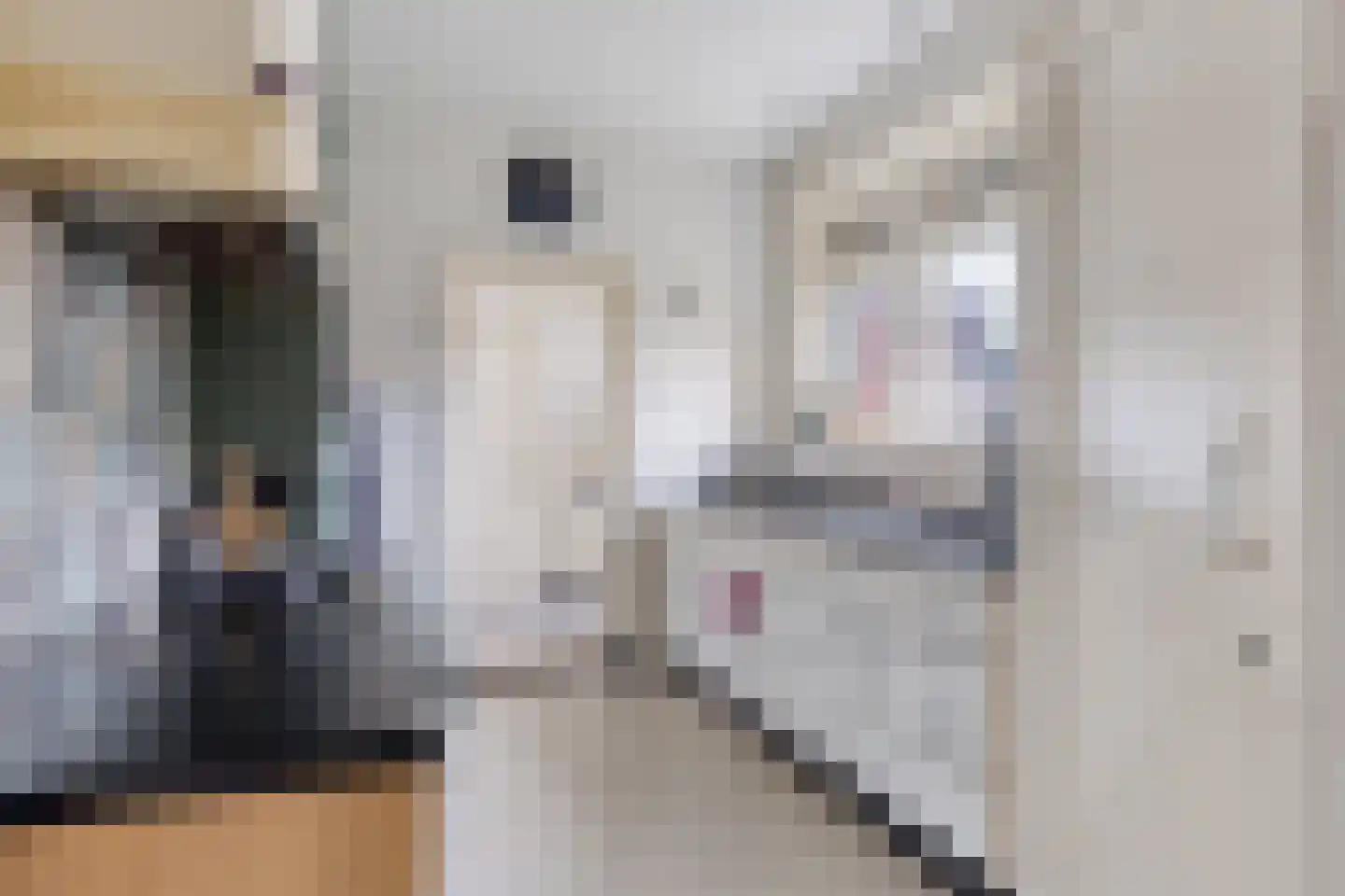 Madoerastraat 1 Nijmegen thumbnail 23
