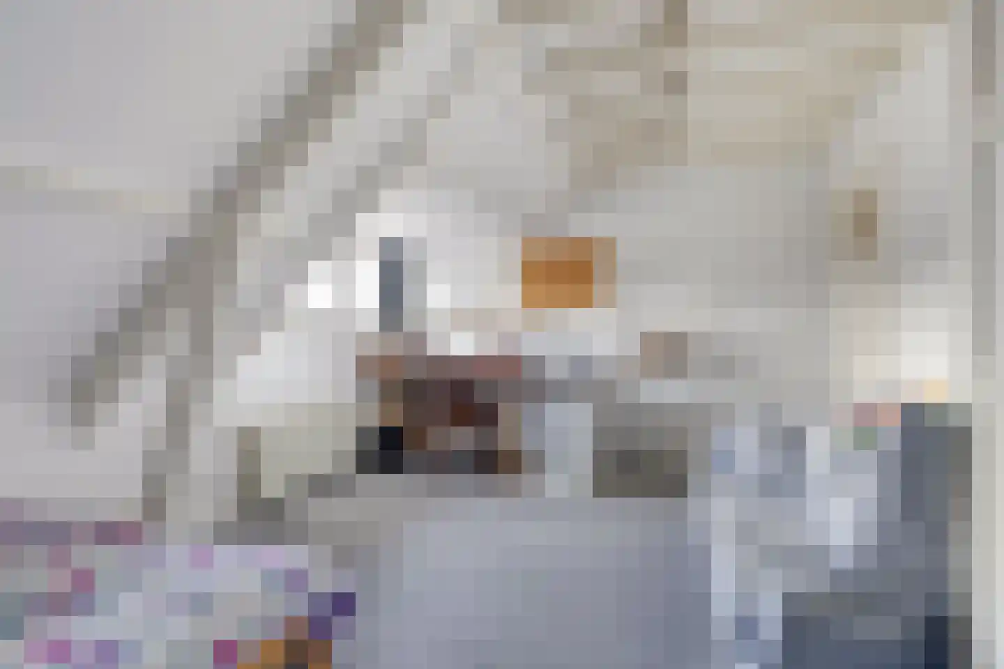 Madoerastraat 1 Nijmegen thumbnail 43