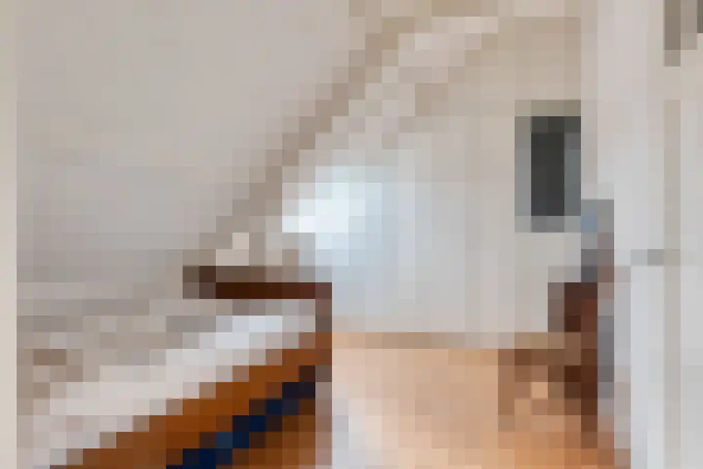 Madoerastraat 1 Nijmegen thumbnail 47