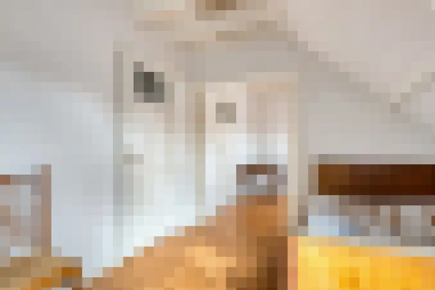 Madoerastraat 1 Nijmegen thumbnail 48