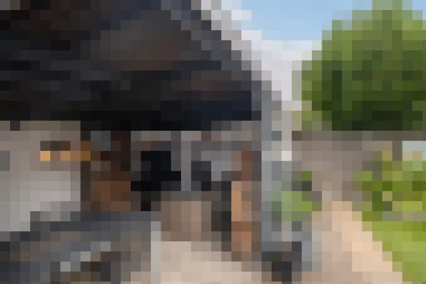 Madoerastraat 117 Vlaardingen thumbnail 7