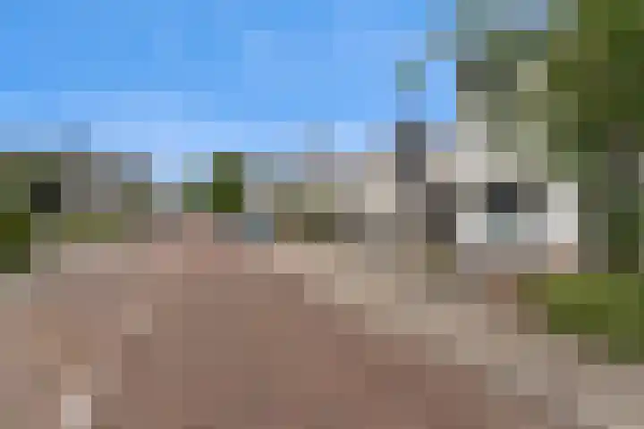 Madoerastraat 123 Vlaardingen thumbnail 44
