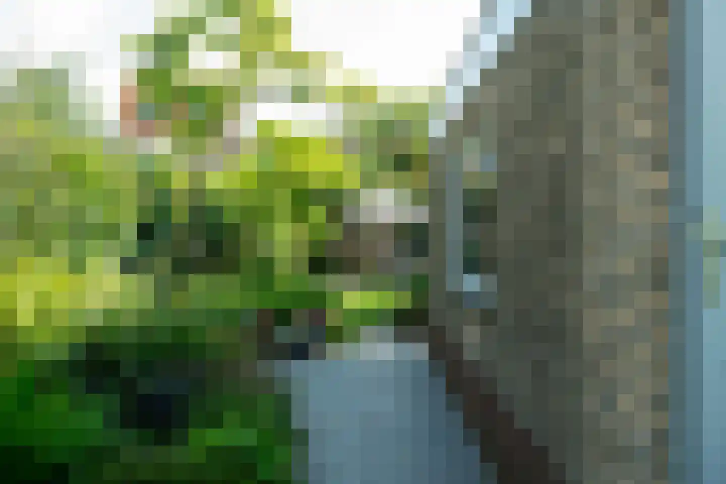 Madoerastraat 17 Haarlem thumbnail 11