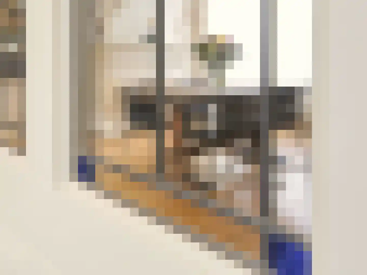 Madoerastraat 17 Haarlem thumbnail 4