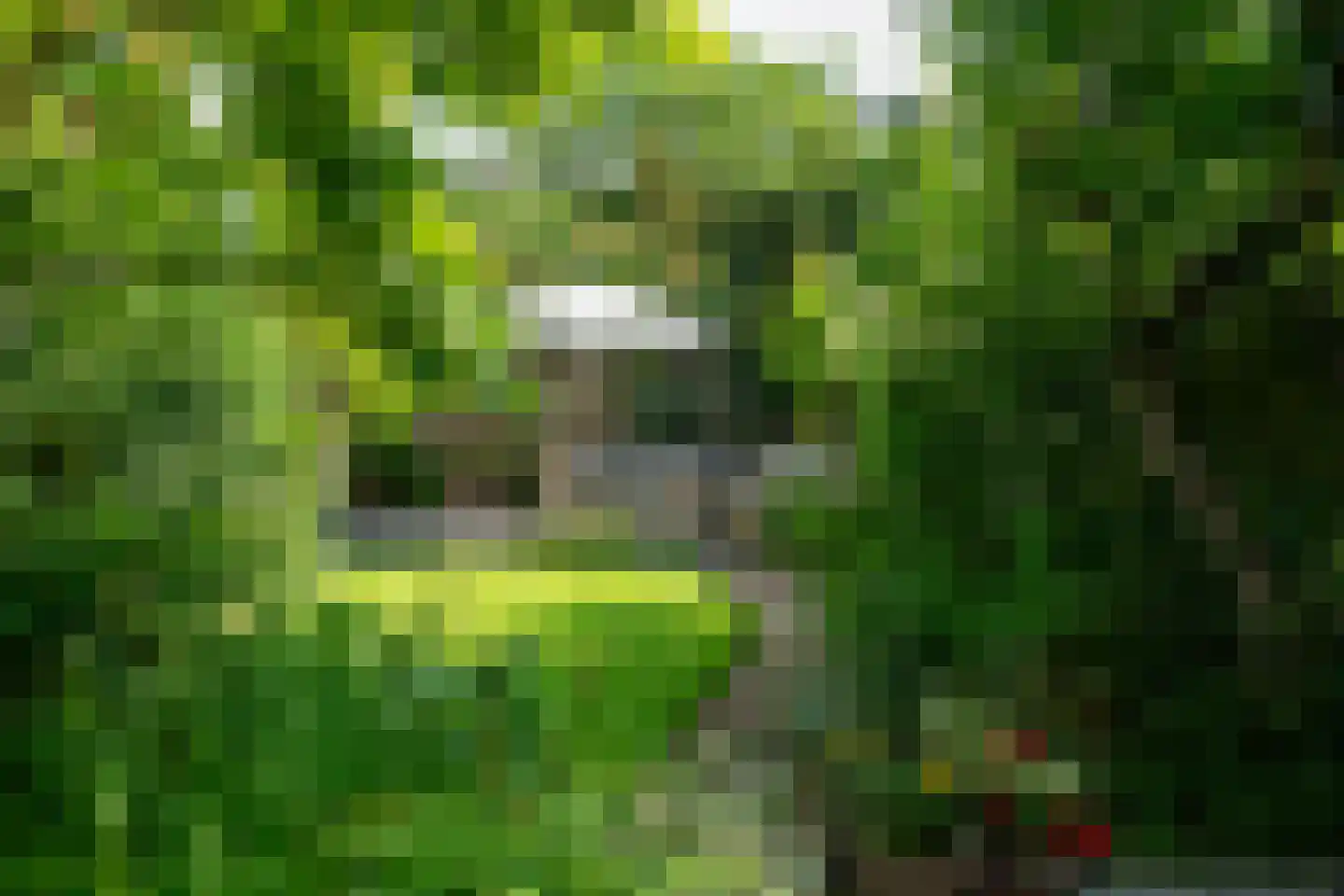 Madoerastraat 17 Haarlem thumbnail 5