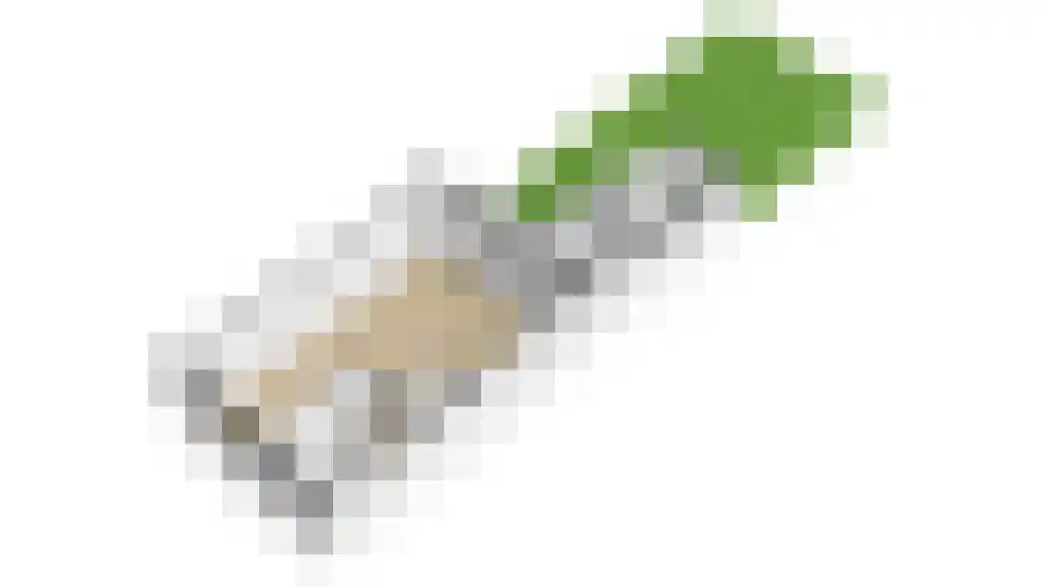 Madoerastraat 17 Haarlem thumbnail 69