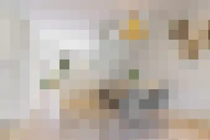 Madoerastraat 19 Leiden thumbnail 11