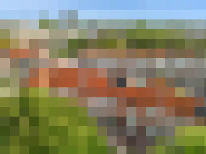Madoerastraat 19 Leiden thumbnail 33