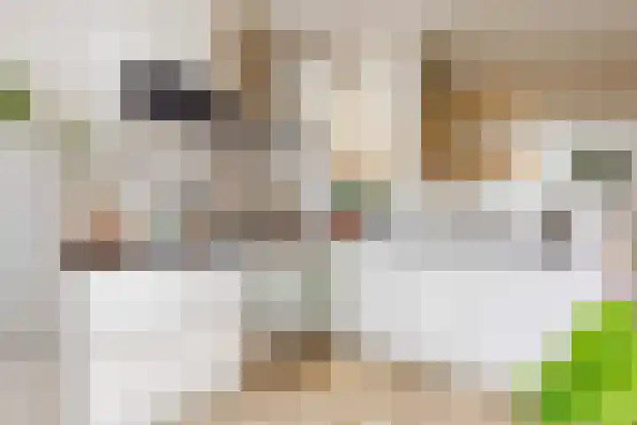 Madoerastraat 19 Leiden thumbnail 7