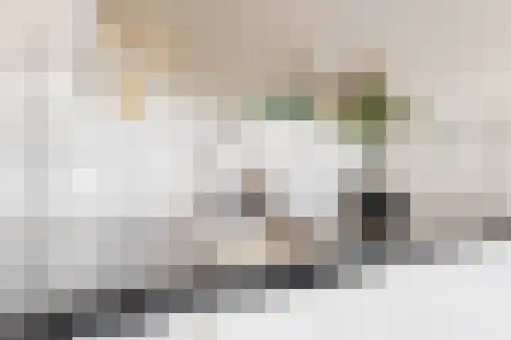Madoerastraat 19 Leiden thumbnail 9