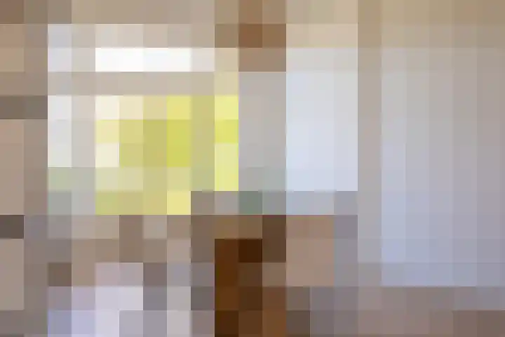 Madoerastraat 30 Den Haag thumbnail 5