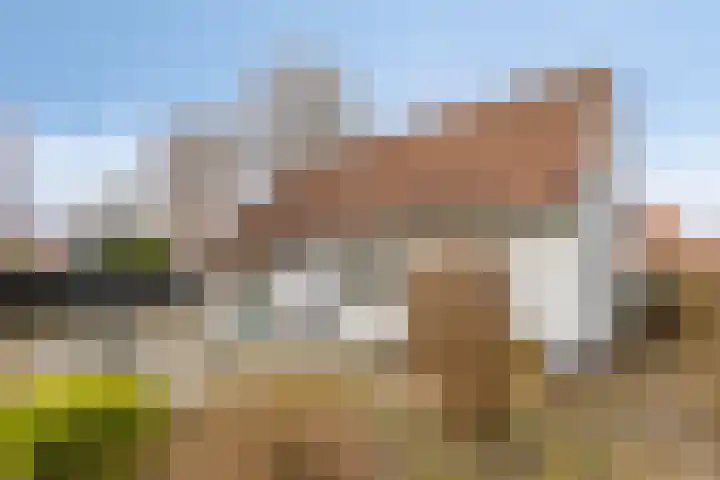 Madoerastraat 7 Maastricht thumbnail 20