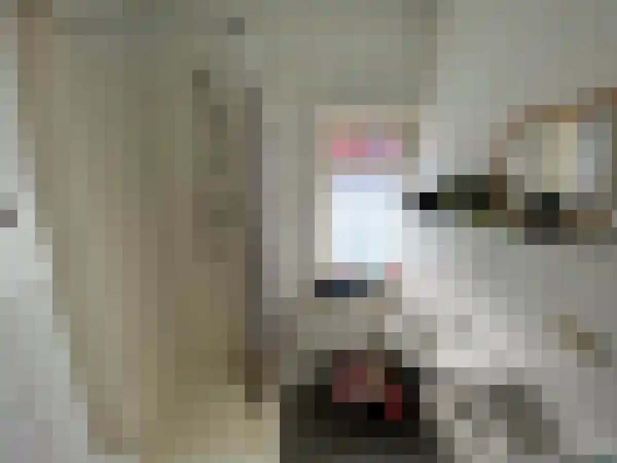 Madoerastraat Groningen thumbnail 4