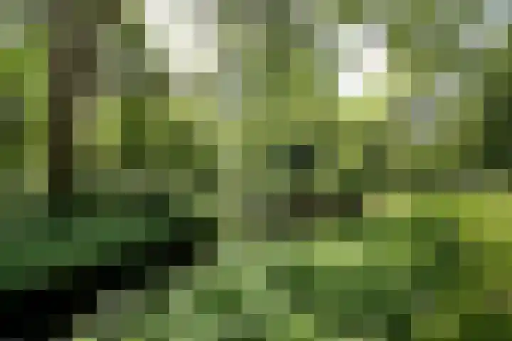 Madridplantsoen 165 Haarlem thumbnail 23