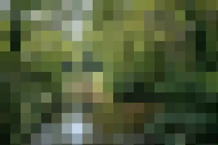 Madridplantsoen 165 Haarlem thumbnail 27