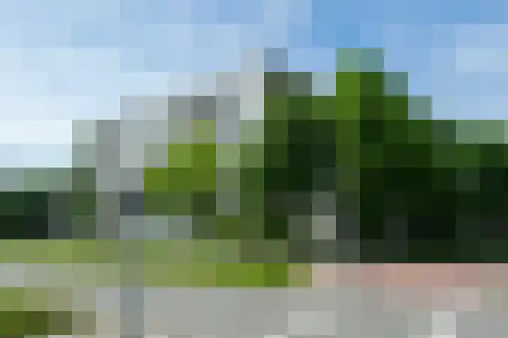 Madridplantsoen 187 Haarlem thumbnail 22