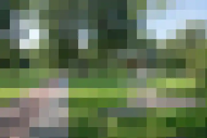 Madridplantsoen 187 Haarlem thumbnail 24