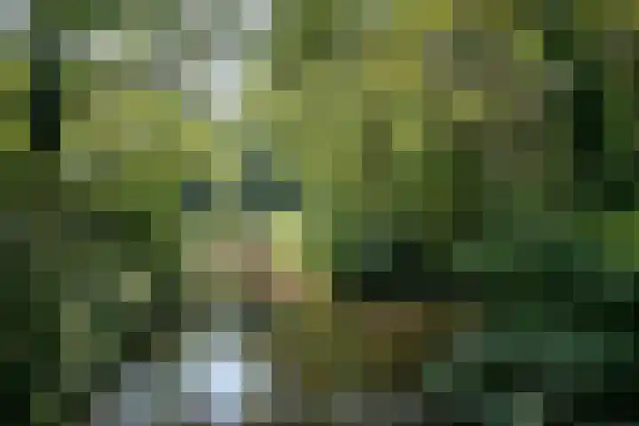 Madridplantsoen 187 Haarlem thumbnail 25