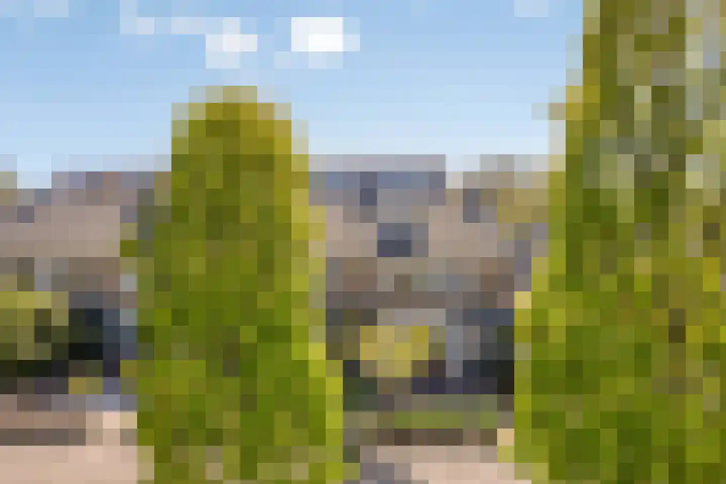 Madridplantsoen 2 Haarlem thumbnail 7