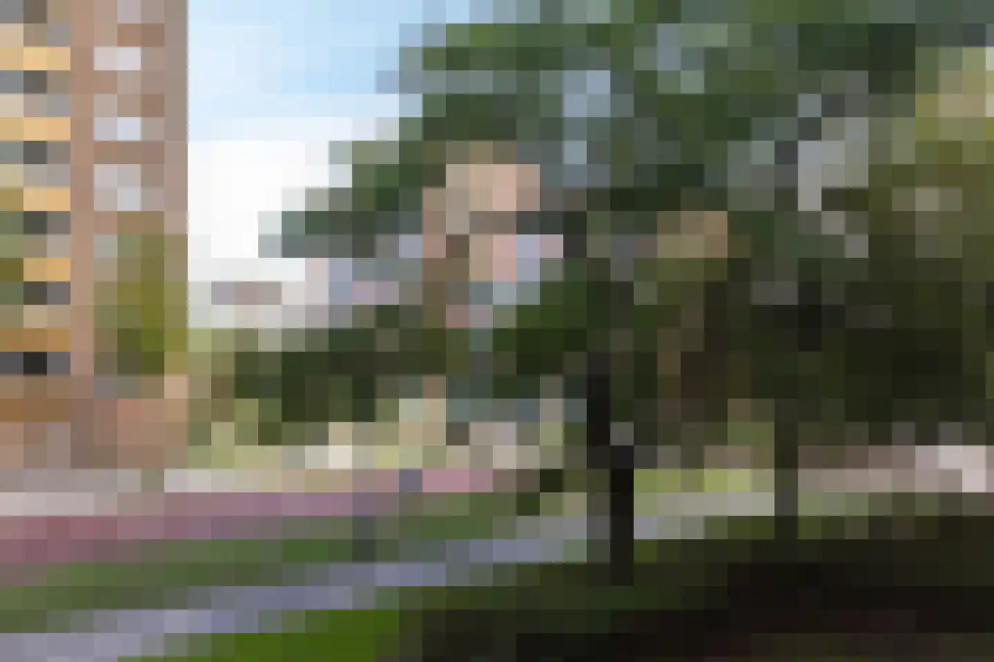 Madridplantsoen 25 Haarlem thumbnail 20