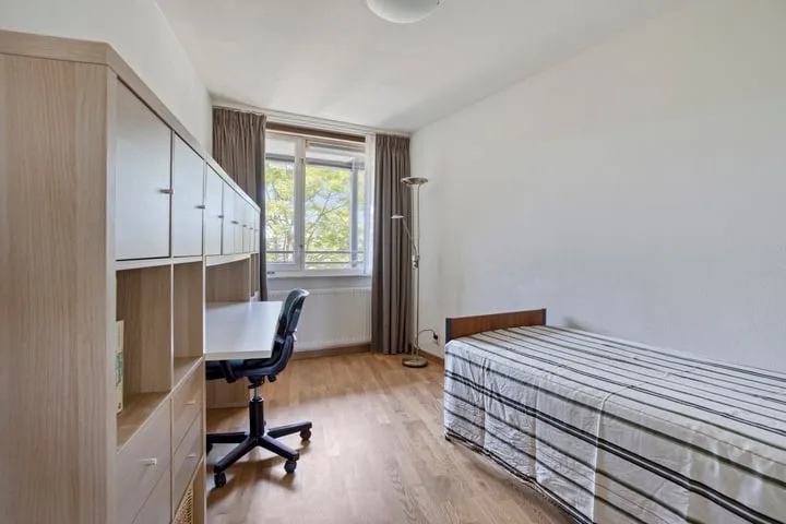 Madridsingel 60 Alphen aan den Rijn thumbnail 16