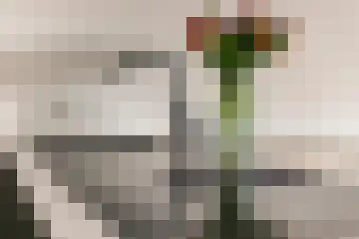 Madridstraat 190 Utrecht thumbnail 6