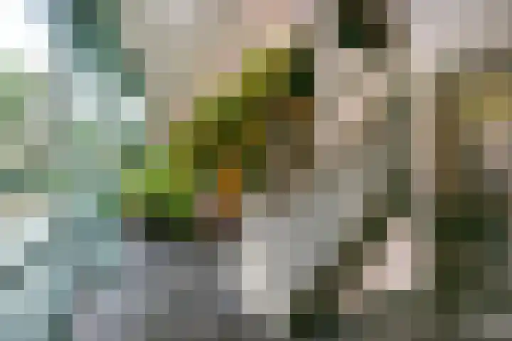 Madridstraat 216 Utrecht thumbnail 28