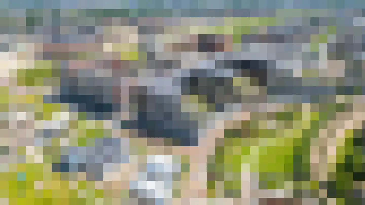 Madridstraat 23 Utrecht thumbnail 36