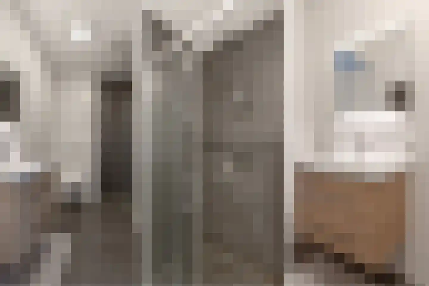 Madridstraat 53 Utrecht thumbnail 23