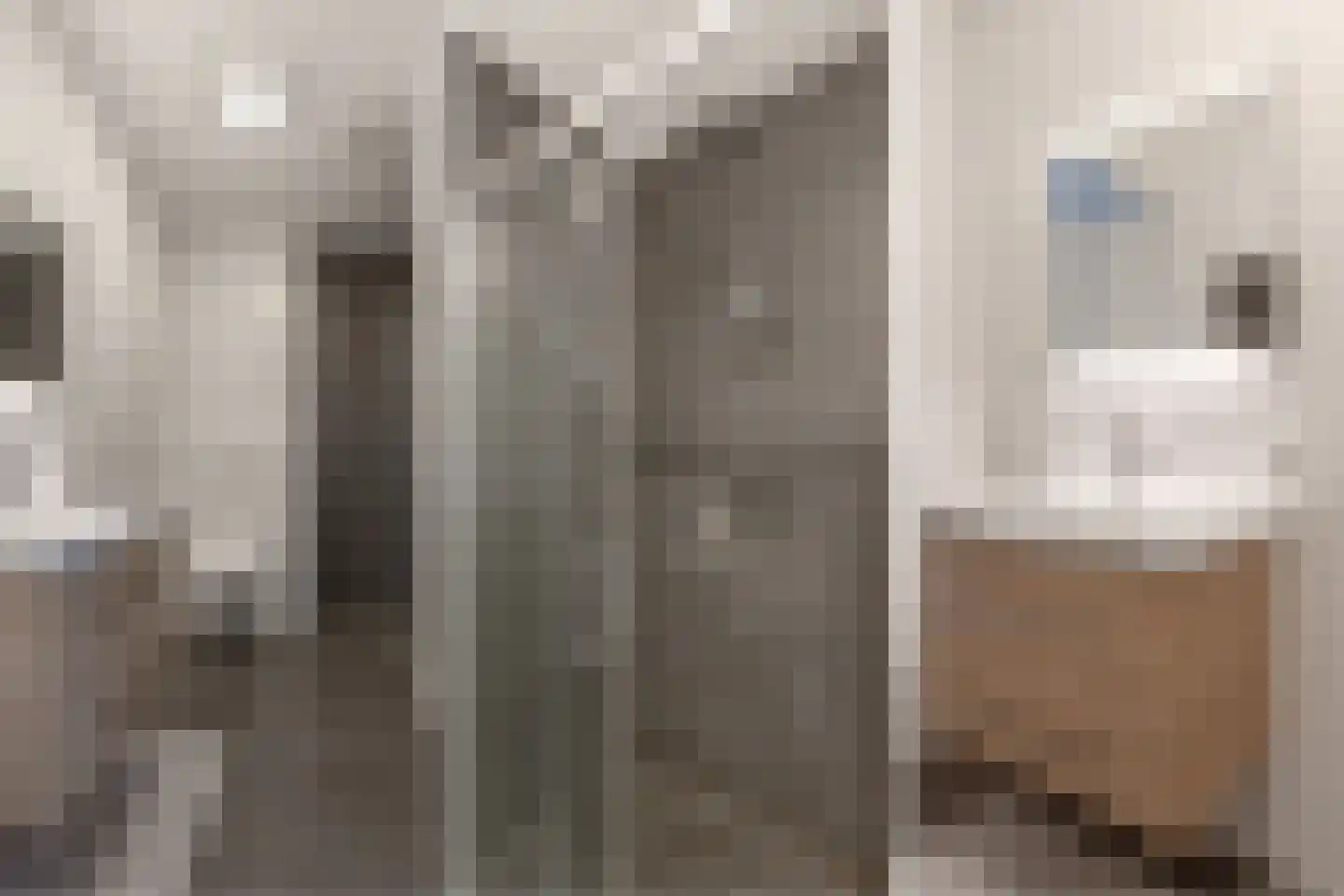Madridstraat 53 Utrecht thumbnail 24
