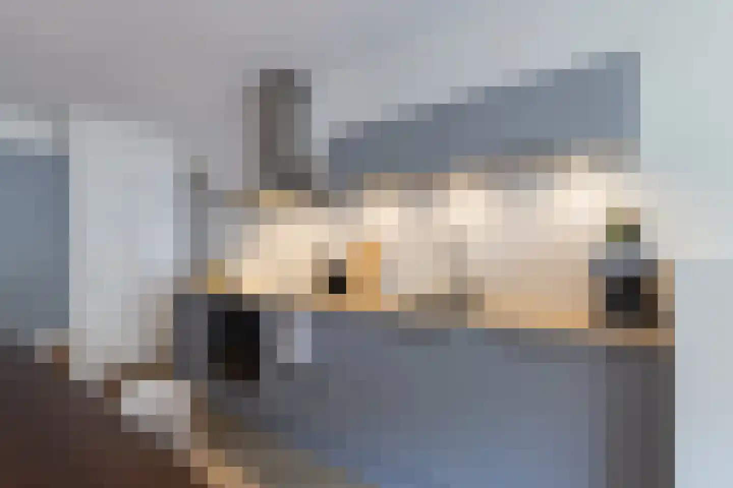 Madridstraat 53 Utrecht thumbnail 9